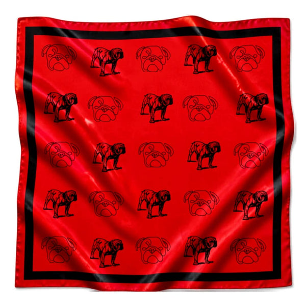 UGA Pride Scarf